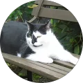 Jacqueline Santos Avatar